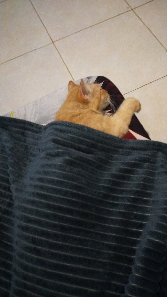 putristemya's tweet image. Mood 🌧️🌧️