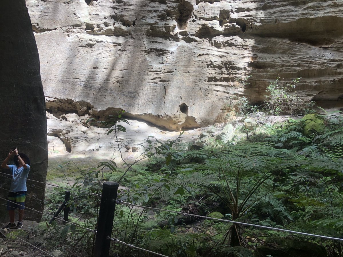 dginnivan's tweet photo. The majestic Carnarvon Gorge in Central Qld; followed by a short trip to #biloela for meeting with Bronwyn, one of the most inspiring advocates for #backtobilo family. Rural people / communities are not conservative-they step up.
@VoicesForAU @greenbus @adropex https://t.co/91oiZLj6B2