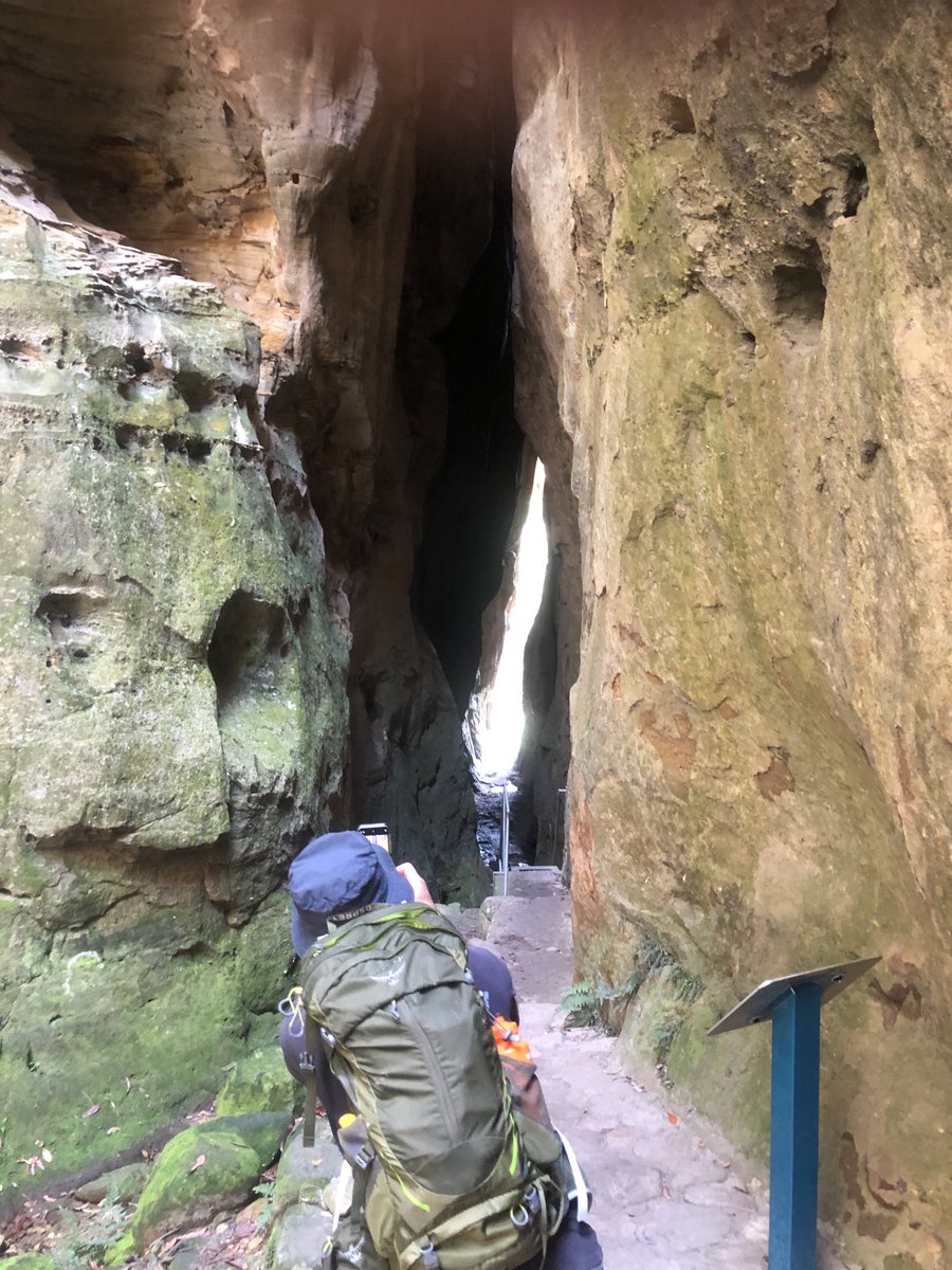 dginnivan's tweet photo. The majestic Carnarvon Gorge in Central Qld; followed by a short trip to #biloela for meeting with Bronwyn, one of the most inspiring advocates for #backtobilo family. Rural people / communities are not conservative-they step up.
@VoicesForAU @greenbus @adropex https://t.co/91oiZLj6B2