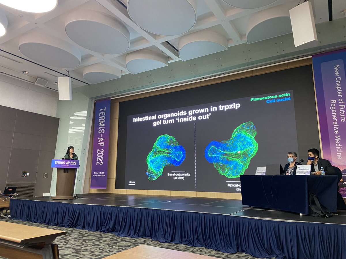 Kristopher Kilian (@kriskilian) on Twitter photo Great talk by #AshNguyen on her peptide gels for #organoids at #termisap. Side note: pretty cool to have former student #JunminLee chairing current students talk 🤩 (w/ <a href="/Cath_LeVisage/">Catherine Le Visage</a>) <a href="/UNSWScience/">UNSW Science</a> <a href="/NanoMed_UNSW/">NanoMed</a> Great talk by #AshNguyen on her peptide gels for #organoids at #termisap. Side note: pretty cool to have former student #JunminLee chairing current students talk 🤩 (w/ <a href="/Cath_LeVisage/">Catherine Le Visage</a>) <a href="/UNSWScience/">UNSW Science</a> <a href="/NanoMed_UNSW/">NanoMed</a>