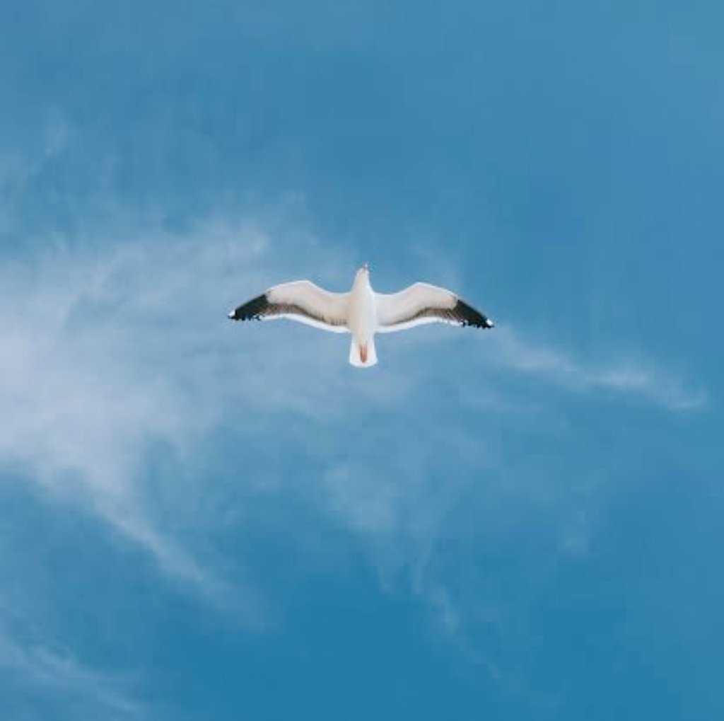 हमने स्वयं को नजरबंद कर रखा है।
अपनी आत्मा पर कई बंदिशें लगा रखी हैं।
हम झूठ बोलना नहीं चाहते और सच कह नहीं सकते।
यही द्वंद हमारी परेशानियों का सबब बन जाता है।

उपनिषद हमें जीवन मुक्त होने की सलाह देते हैं। हमारे जीवन का लक्ष्य है मुक्ति जिसे बौद्ध दर्शन में निर्वाण कहा गया है।