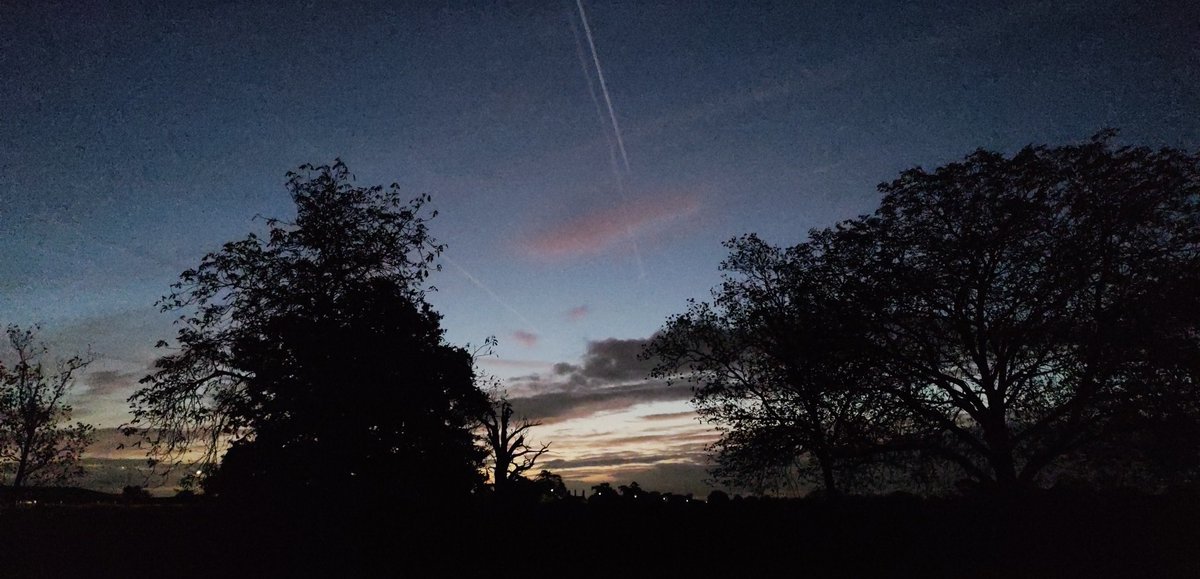 simonsgallery's tweet image. Good Morning from the Long Walk #Windsor