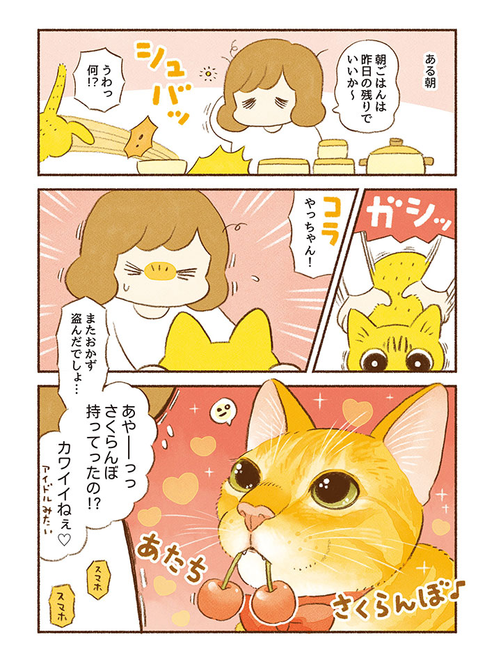 食卓から何かを盗んだ猫 つかまえて確認したら「アイドルみたい」 https://t.co/4TEiAplLK4 @grapeejpより 