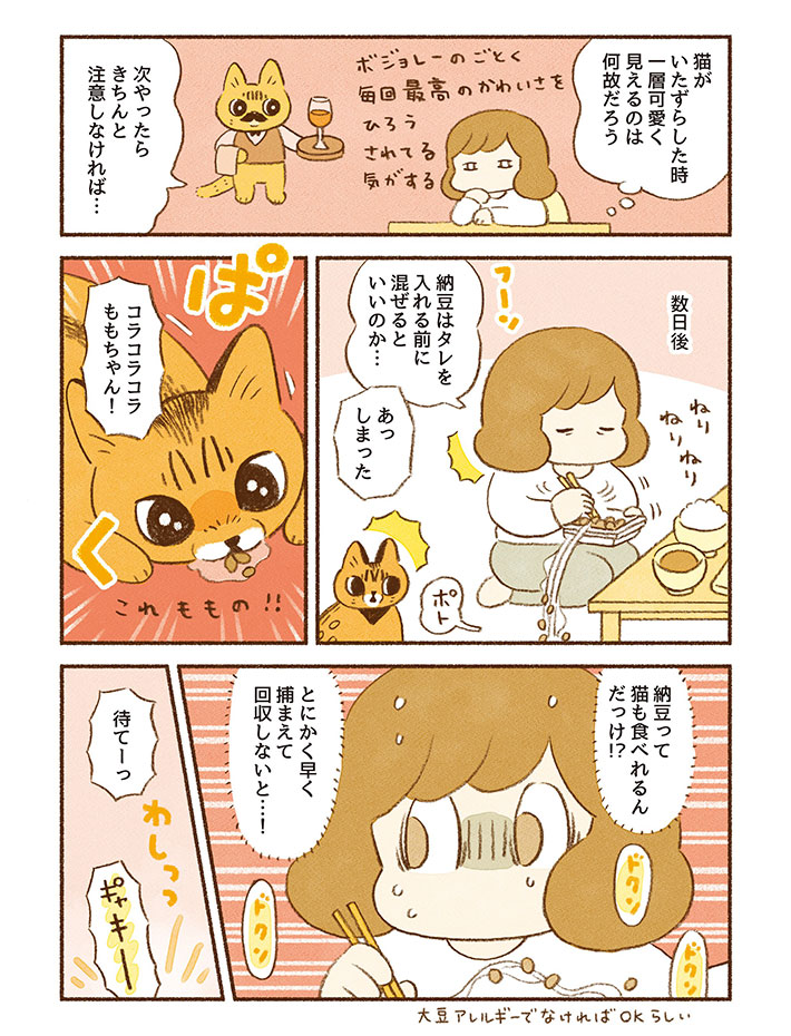 食卓から何かを盗んだ猫 つかまえて確認したら「アイドルみたい」 https://t.co/4TEiAplLK4 @grapeejpより 