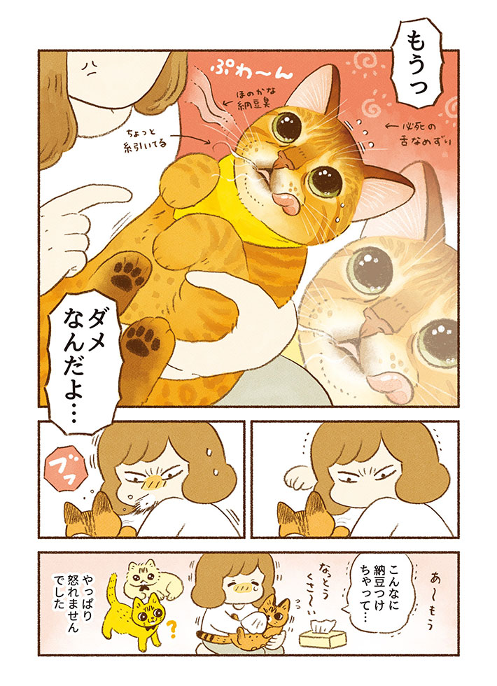 食卓から何かを盗んだ猫 つかまえて確認したら「アイドルみたい」 https://t.co/4TEiAplLK4 @grapeejpより 