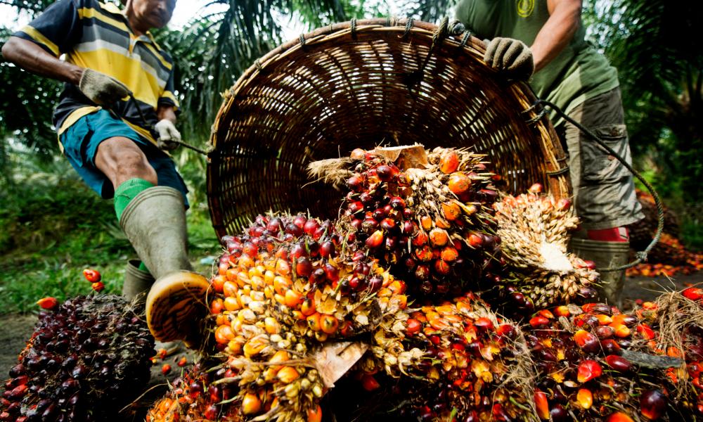 btramsnews's tweet photo. Crude palm oil prices are expected to trade between RM3,500 and RM4,000 per tonne this month, as bearish stock levels are matched by fears over the monsoon season impacting production levels in the final quarter of the year.#cpo #analysisreport #btrams
https://t.co/XmHkjVIOpZ https://t.co/0apTBlJDQk