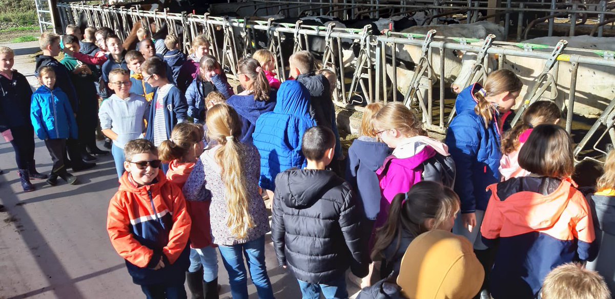msacn1450's tweet photo. #ElusMSAenAction ! Hier, les enfants partent à la découverte de la production laitière bio au GAEC du Pissot à #Jurques. De la #ferme à l'assiette, ils voient d’où vient le #lait de nos yaourts. Le beurre fabriqué en direct et dégusté sur place, c'est encore meilleur non ? 😋🐮🧈 https://t.co/YPVbtMSiv0