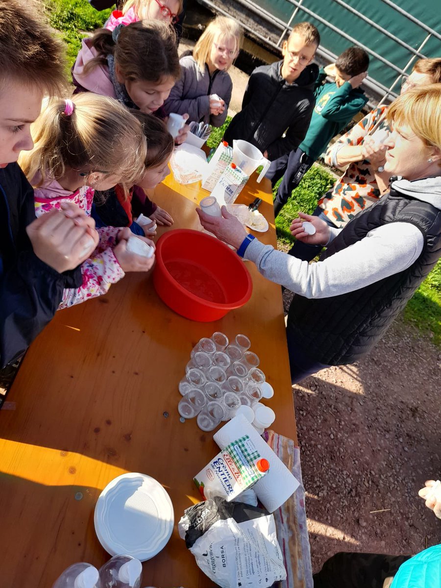 msacn1450's tweet photo. #ElusMSAenAction ! Hier, les enfants partent à la découverte de la production laitière bio au GAEC du Pissot à #Jurques. De la #ferme à l'assiette, ils voient d’où vient le #lait de nos yaourts. Le beurre fabriqué en direct et dégusté sur place, c'est encore meilleur non ? 😋🐮🧈 https://t.co/YPVbtMSiv0