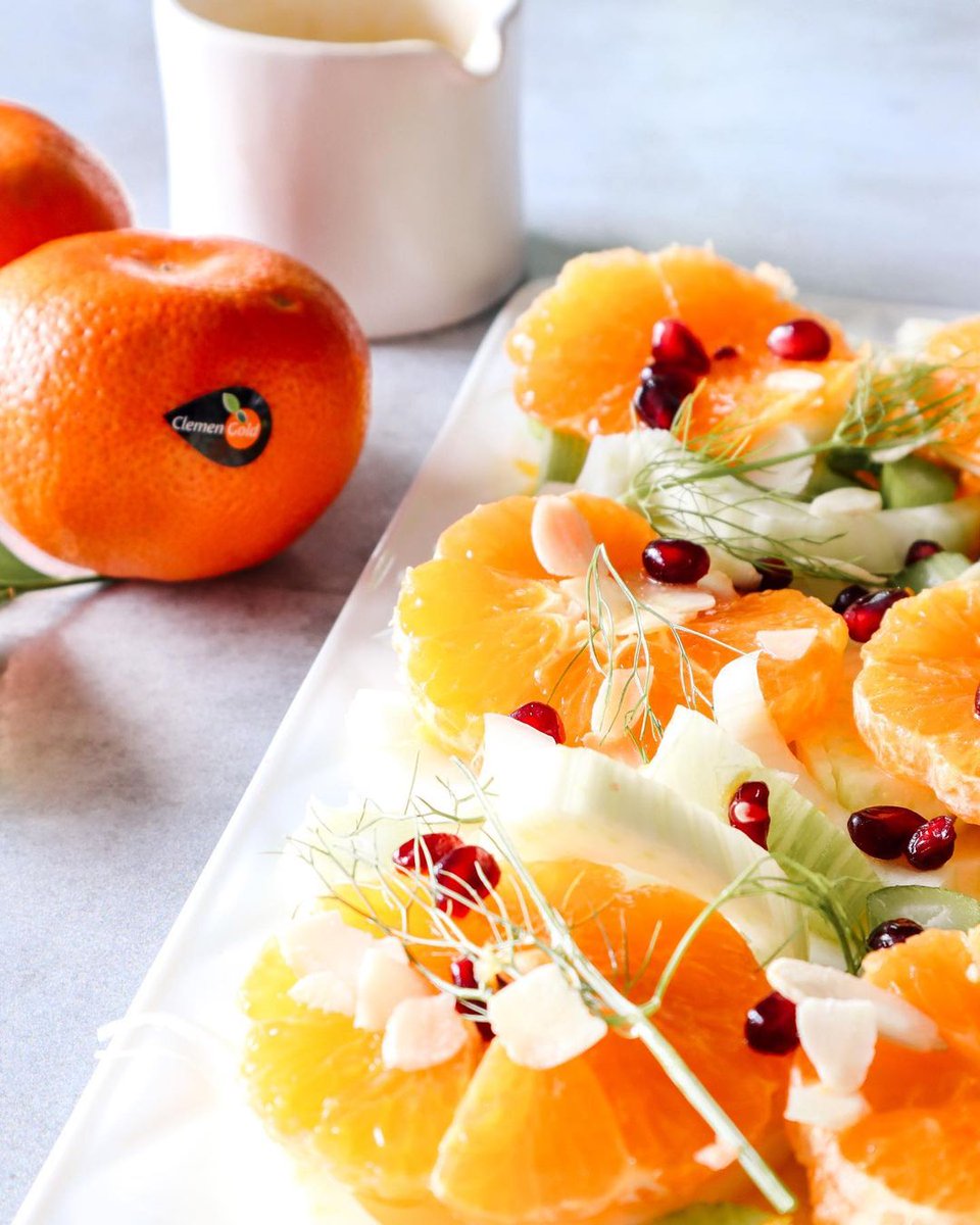 ClemenGold's tweet photo. Fresh. Sweet. Delicious. 🍊
@razeenapalekar 's ClemenGold mandarin and Fennel Salad is a must-try! These fresh & light recipes will come in handy as the warm summer days are approaching.
#ClemenGold #ClemenGoldmandarins #saladrecipe #summerrecipe #mandarinsalad #musttryrecipe https://t.co/Y7GSZiNJcE