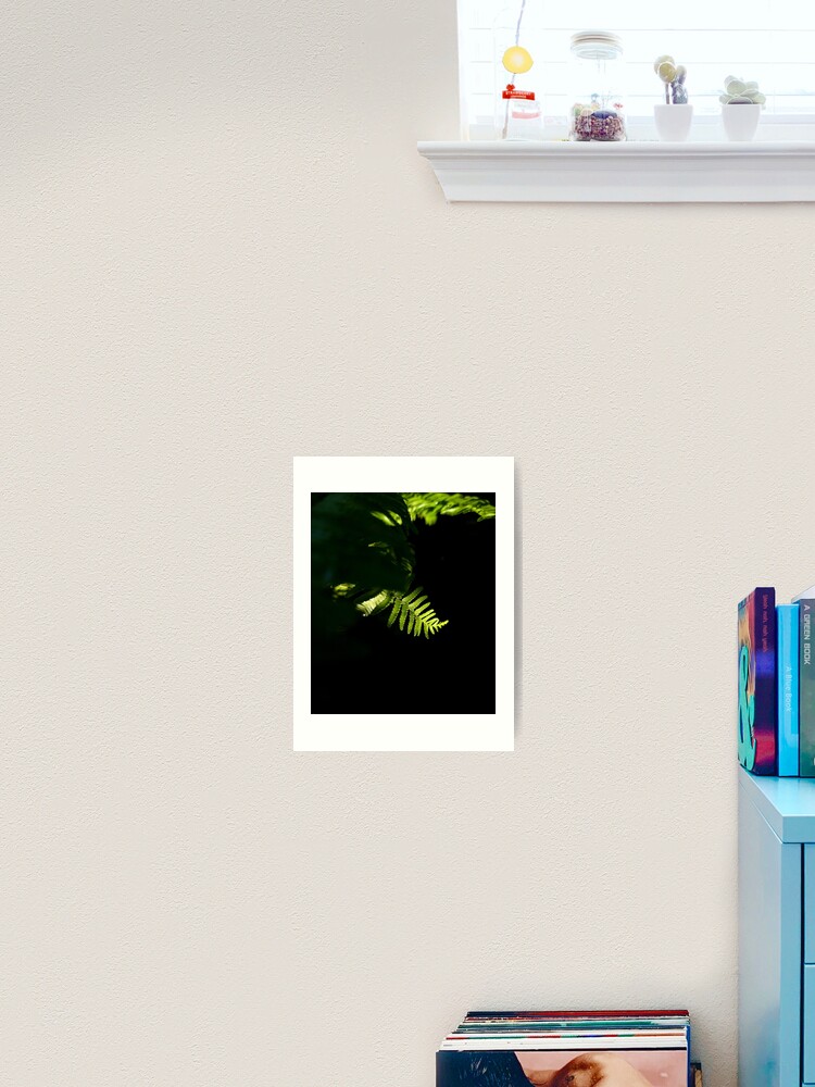 jyoo_taki's tweet image. 🌿green fern leaves get morning light✨
More products are available on my Redbubble
&amp;lt;Check link in the bio&amp;gt;
#greenferns #greenfern #fernleaf #fernlovers #naturelovers #plantslovers #artboardprint #photoartprints #showercurtains #mousepads #artprintshop #artprintoncavas #redbubble