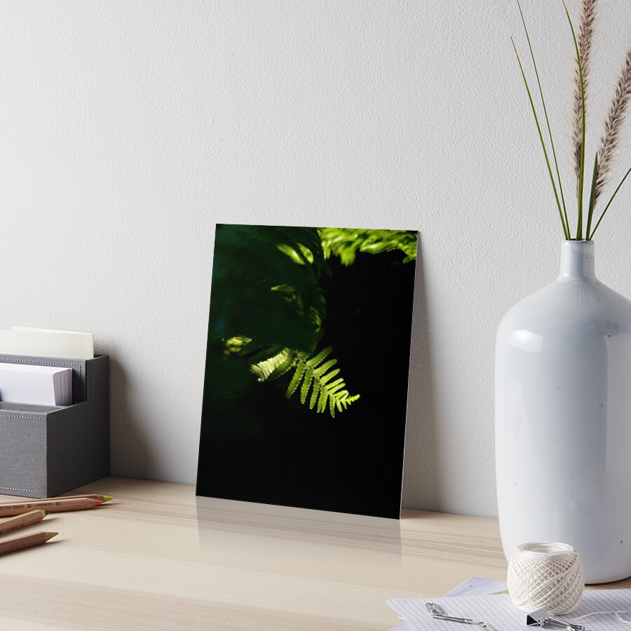 jyoo_taki's tweet image. 🌿green fern leaves get morning light✨
More products are available on my Redbubble
&amp;lt;Check link in the bio&amp;gt;
#greenferns #greenfern #fernleaf #fernlovers #naturelovers #plantslovers #artboardprint #photoartprints #showercurtains #mousepads #artprintshop #artprintoncavas #redbubble