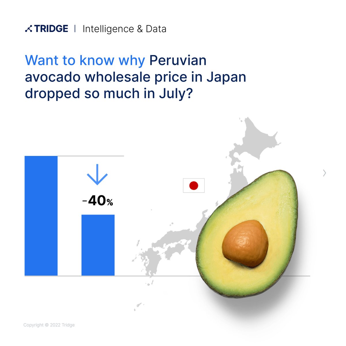 TridgeGlobal's tweet photo. Tridge’s September Market Recap Report keeps you up-to-date on key issues in #Food &amp; #Agriculture, from #Chinese #vegetable #prices to #trade flows on #Colombian #Lemon and #Lime.

Read the report here : https://t.co/LBf9gYA4nJ https://t.co/masnaFXj1N