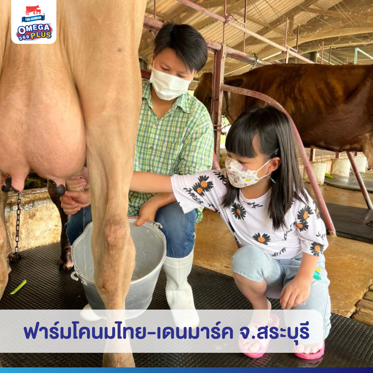 ThaiDenmark_TH's tweet photo. 📌  ให้ปิดเทอมไม่น่าเบื่อ 
🚗 👨‍👩‍👧 พาลูกรักมาเสริมจินตนาการในช่วงปิดเทอม กับ 4 ที่เที่ยว

อย่าลืมพกนม ตราไทย-เดนมาร์ค

ช้อป👇
🛒ร้านค้า Official 
https://t.co/506MOkzlGo 
🛒Shopee
https://t.co/7jSmRsids5
🛒Lazada
https://t.co/Jp7GAauMdS
🛒mombiestreet
https://t.co/AYC53eaKTy https://t.co/zzfaKO3KpK