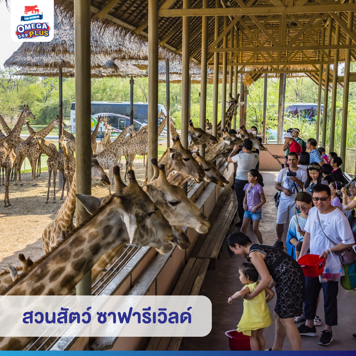 ThaiDenmark_TH's tweet photo. 📌  ให้ปิดเทอมไม่น่าเบื่อ 
🚗 👨‍👩‍👧 พาลูกรักมาเสริมจินตนาการในช่วงปิดเทอม กับ 4 ที่เที่ยว

อย่าลืมพกนม ตราไทย-เดนมาร์ค

ช้อป👇
🛒ร้านค้า Official 
https://t.co/506MOkzlGo 
🛒Shopee
https://t.co/7jSmRsids5
🛒Lazada
https://t.co/Jp7GAauMdS
🛒mombiestreet
https://t.co/AYC53eaKTy https://t.co/zzfaKO3KpK