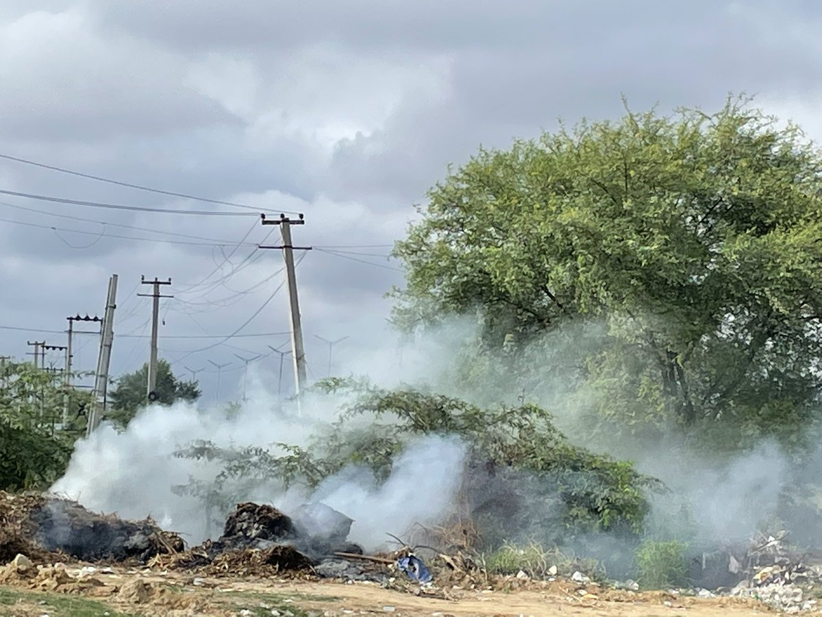 SareenDwarka tweet media