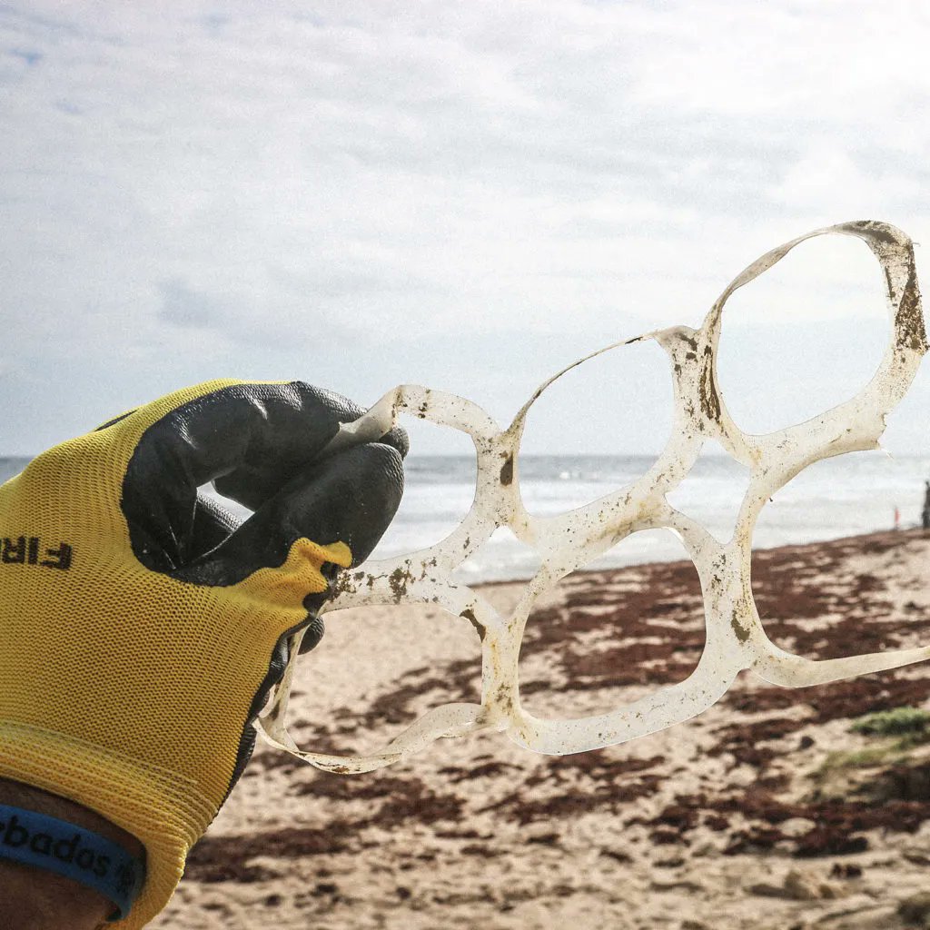 Pangea Movement tweet media