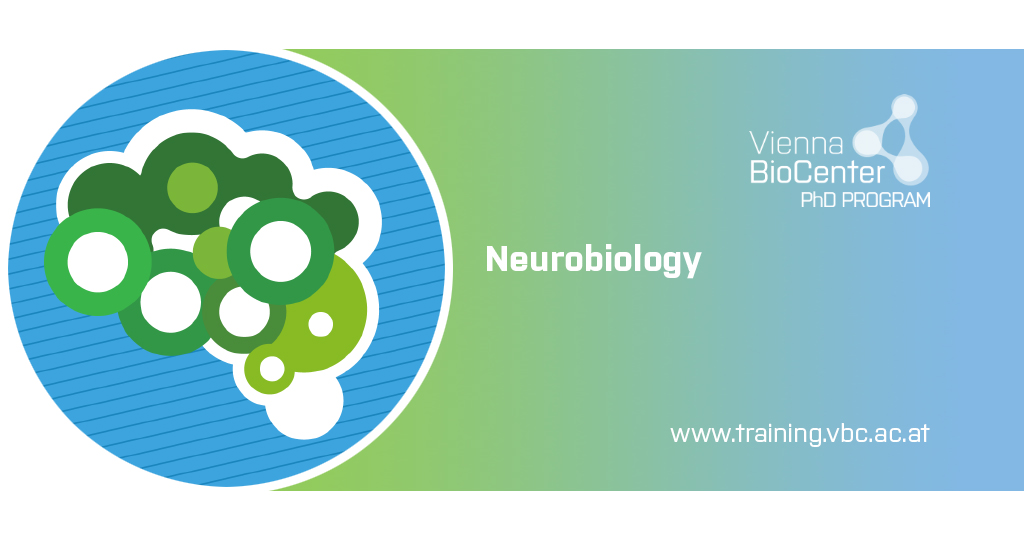 Vienna BioCenter Scientific Training tweet media