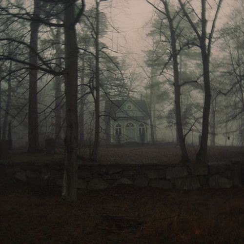cottageinwood's tweet photo. Sometimes we just need a quiet place to commune with the darkness and plan our revenge, till we feel like ourselves again. https://t.co/KnOqt5JhVz