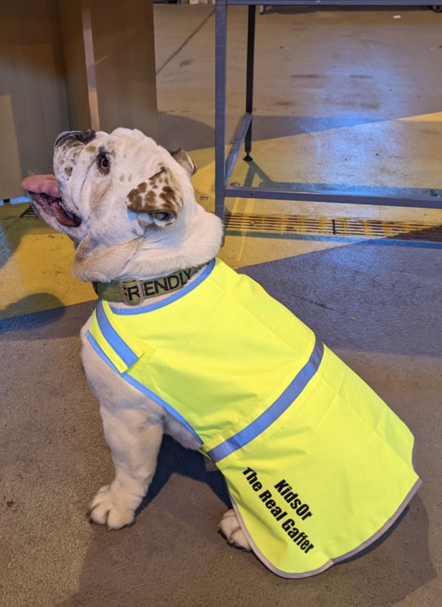 Who’s really running the show at KidsOR??? #therealgaffer Winston had his first visit to the @KidsOperating Centre of Global Operations in Dundee yesterday and in keeping with all H&S regulations, was presented with his own HV Vest… #vip #vipvisit Thanks team for having us!!! ❤️
