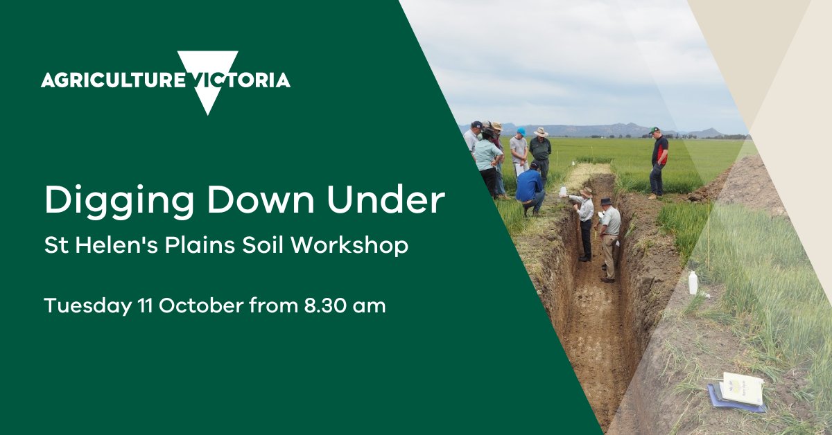 *CANCELLED DUE TO WET CONDITIONS. WE WILL RESCHEDULE. * #StHelensPlains #soil workshop on 11 October at 8.30 am  
<a href="/BCG_Birchip/">Birchip Cropping Group (BCG)</a> <a href="/GRDCSouth/">GRDC South</a>
<a href="/wimmeracma/">Wimmera CMA</a> <a href="/landcare/">Landcare</a> #soil
#landcare