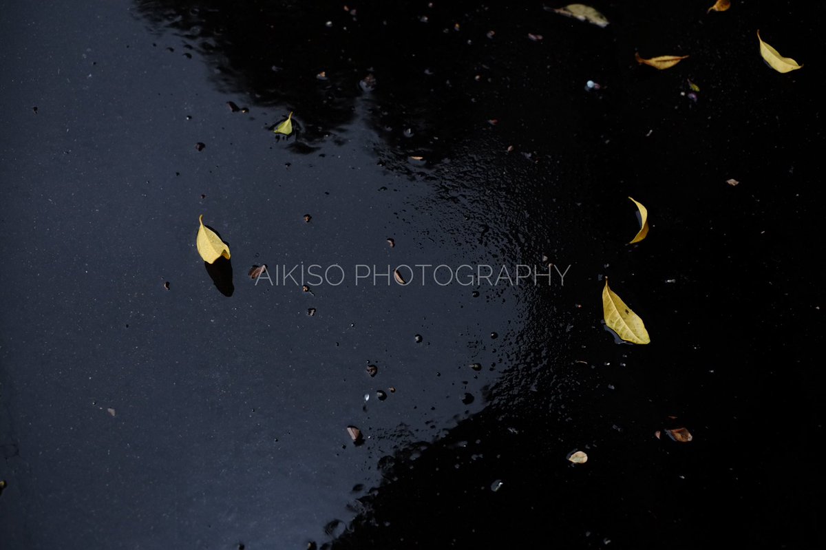 photo_graphyNFT's tweet photo. 秋雨がしっとり濡れるような
イメージ素材集『雨曝秋』
背景素材など 10点ほど
こんな感じいかがでしょうか?🧐
#pxta #クリエイティブ #ブログ
#今日の積み上げ #ウェブデザイン
#ブログ初心者 #ストックフォト
#毎日更新 #季節の写真 #写真販売
#アート #背景素材 #背景美術
#壁紙素材 https://t.co/AJ3Henreab