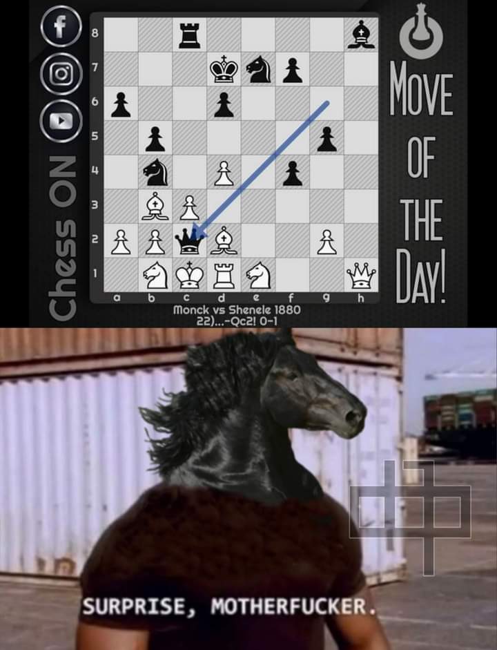 pythoncodess's tweet image. This horsey&apos;s
#checkmate #chess #HIKARU #chessjokes #chessdrama