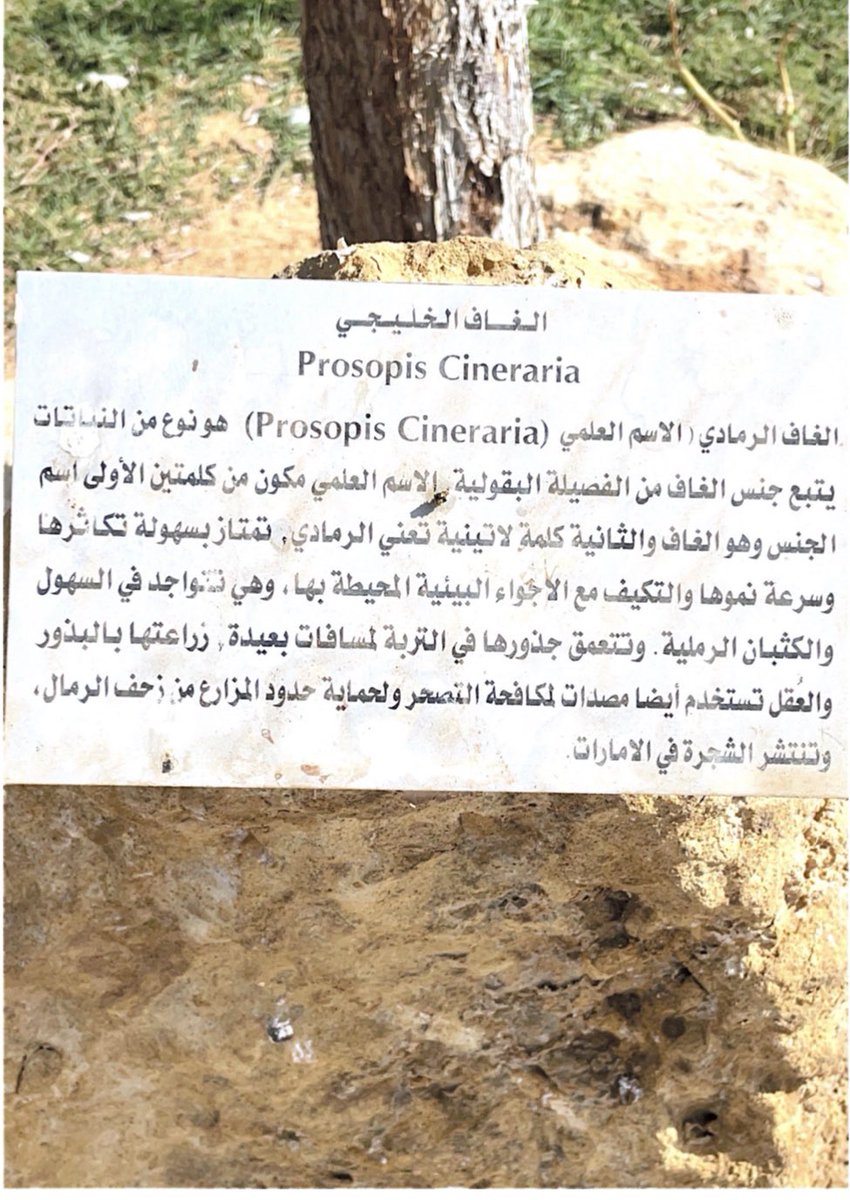 محمد بن ناصر الشويش tweet media