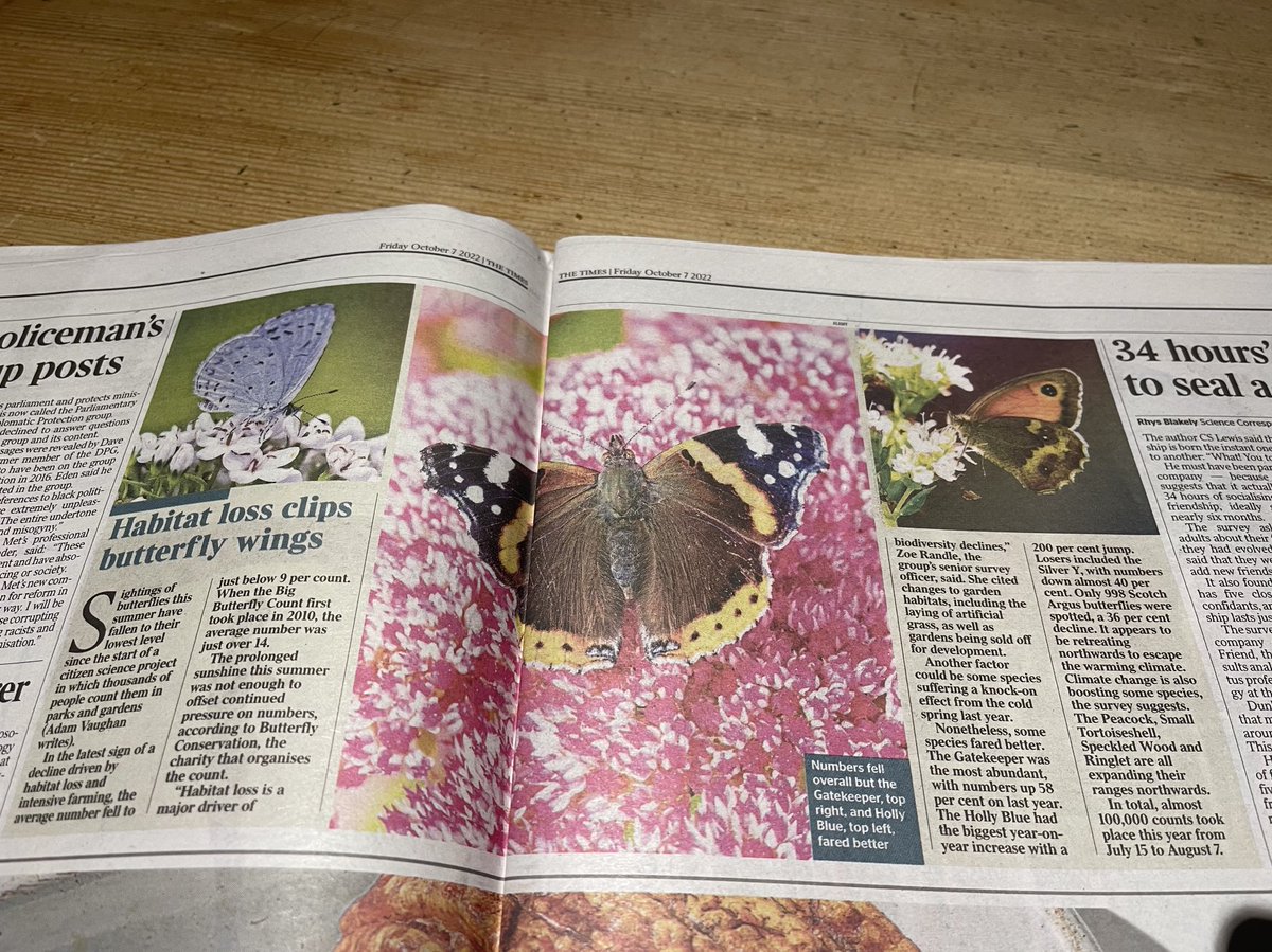 Andrew Osmond tweet media