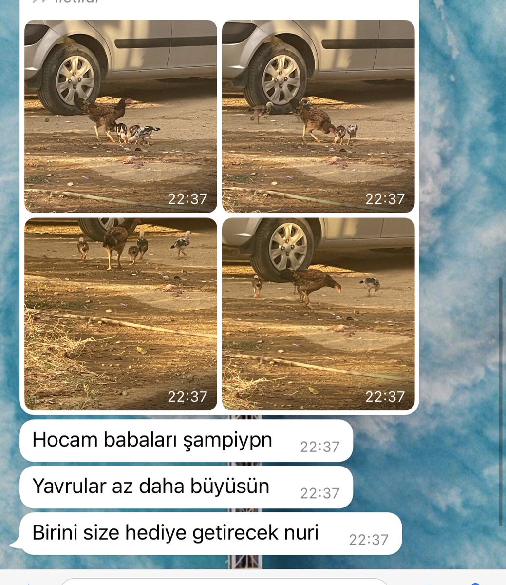 Öğretmenlik mesleğini seçerken böyle beklentilerim yoktu ya