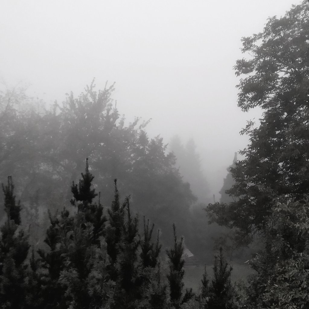 CtrlAltAcnt's tweet photo. "The timeless void when you are sleeping is the reason why those suffering from depression are so attracted to napping and sleeping, because the only thing they desire is the suffering to end and waking up means new day, new begin," she summarizes to me. 1/🧵 #TherapyPosting https://t.co/D4wtVv9wCm