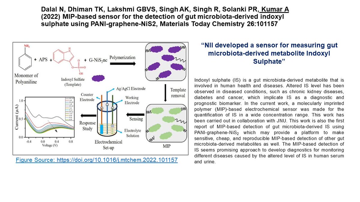 Scientist <a href="/NImmunology/">BRIC-NII</a> <a href="/AnilKumar_NII/">Anil Kumar</a> developed a sensor for measuring gut microbiota-derived metabolite Indoxyl Sulphate” <a href="/rajesh_gokhale/">Rajesh Gokhale</a>  <a href="/DBTIndia/">Department of Biotechnology</a> <a href="/DrJitendraSingh/">Dr Jitendra Singh</a>
Read More: doi.org/10.1016/j.mtch…