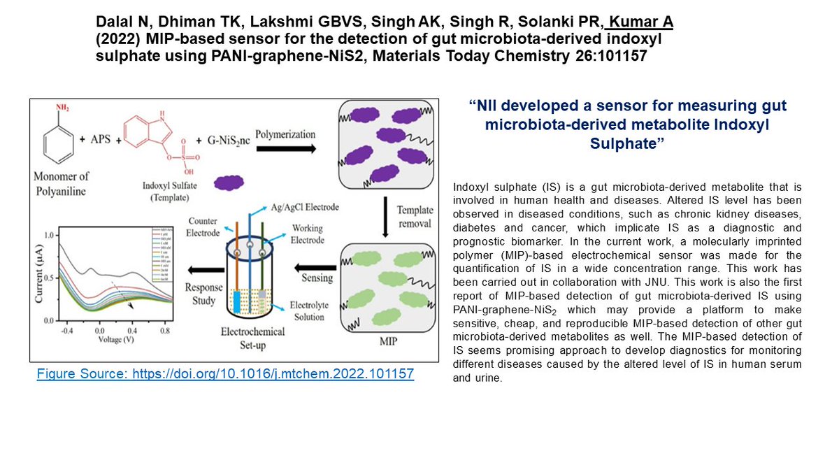 Scientist @NImmunology @AnilKumar_NII developed a sensor for measuring gut microbiota-derived metabolite Indoxyl Sulphate” @rajesh_gokhale @DBTIndia @DrJitendraSingh Read More: doi.org/10.1016/j.mtch…