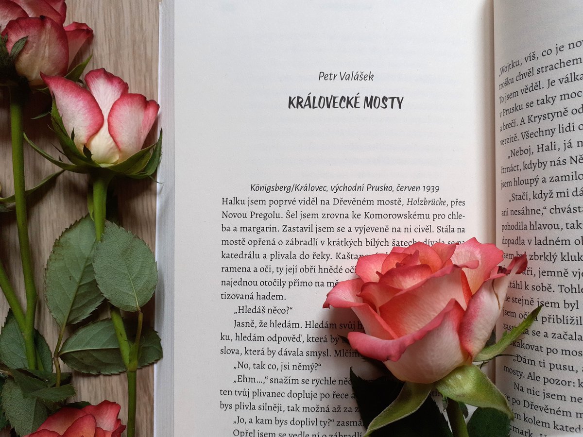 katrinf's tweet photo. Víte, že v #Kralovec, našem 2. největším městě, je 7 mostů? Pojí se s nimi slavná hádanka. P. Valášek, absolvent mého kurzu tvůrčího psaní, se jí inspiroval. Jeho povídka uspěla v lit. soutěži a vyšla i knižně. Zdarma si ji přečtete zde: https://t.co/lDiGzWpK4K #KralovecCzechia https://t.co/OfIYuje7I2