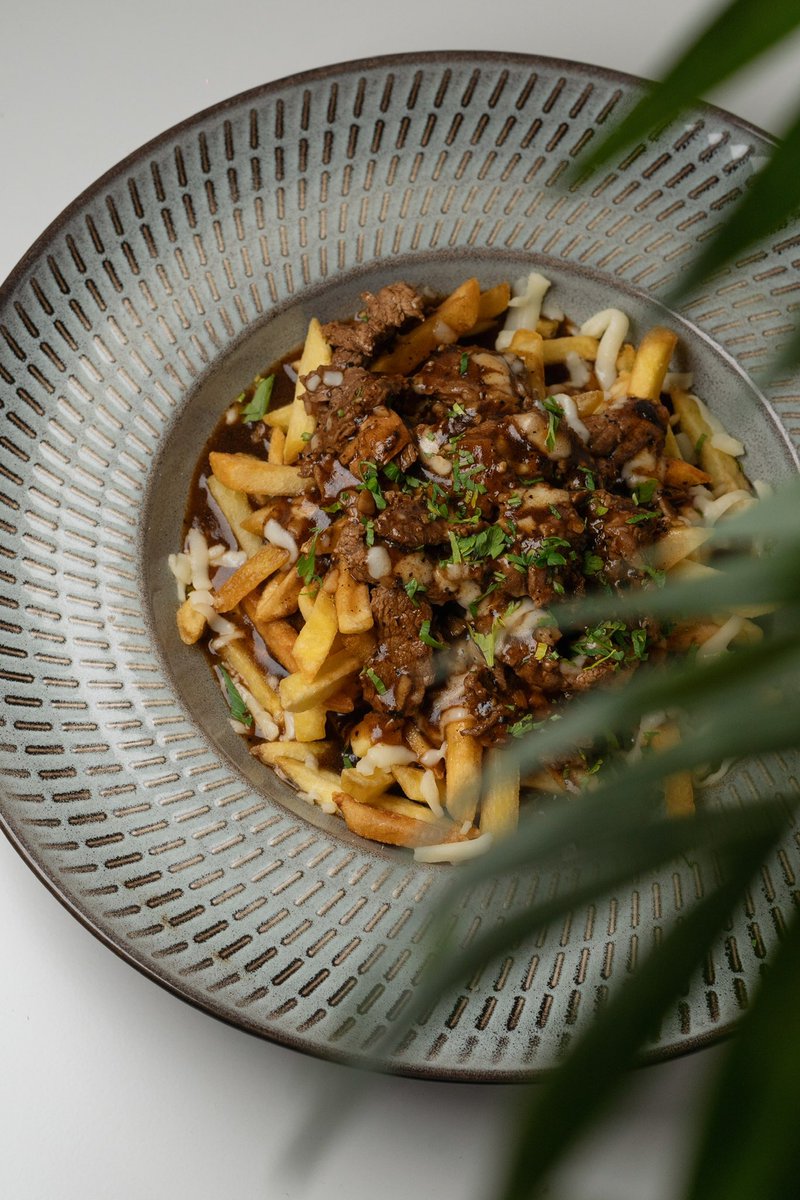 Beef &amp; Fries