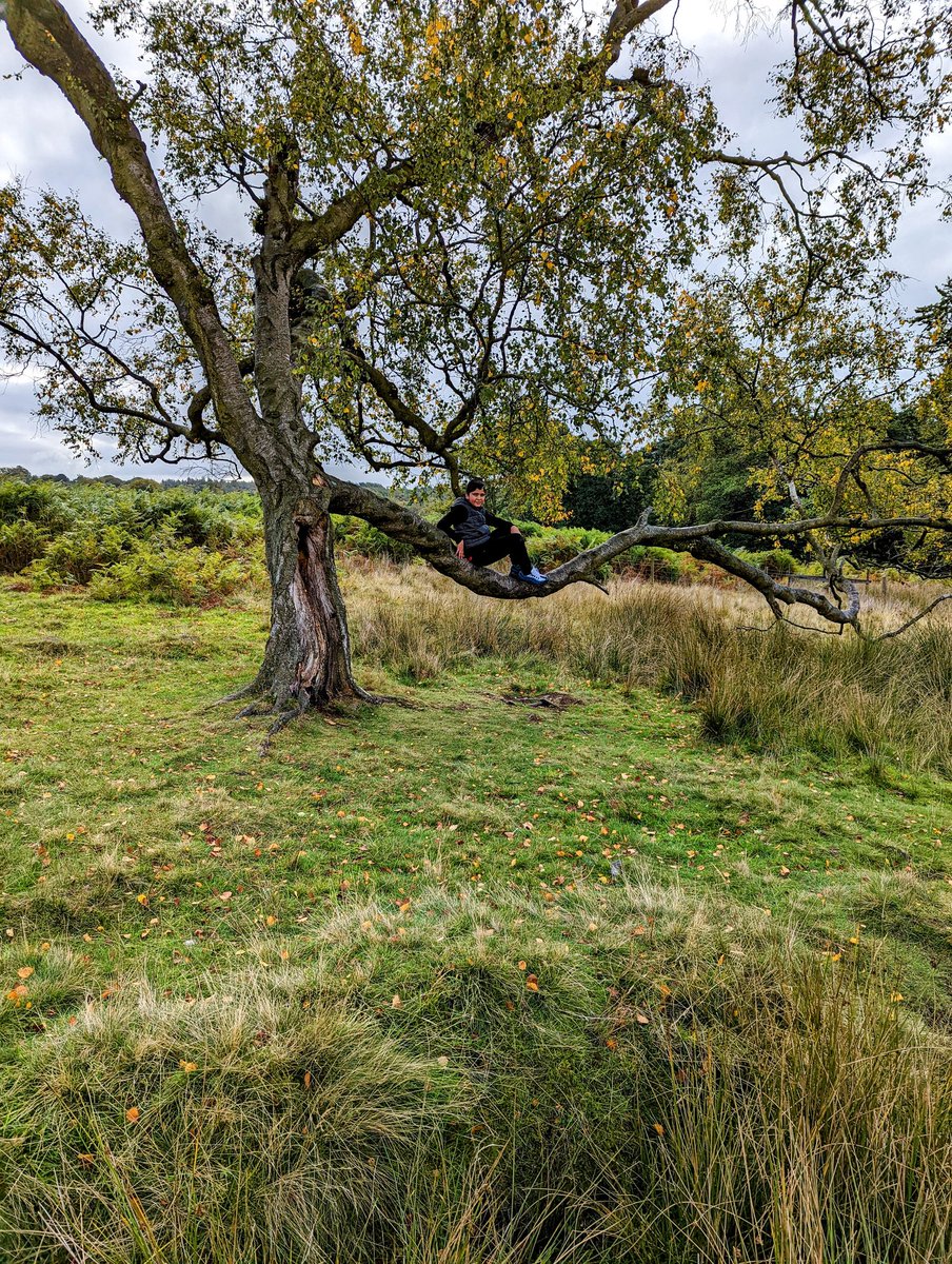 PdBeginnings's tweet photo. A busy day exploring the woods, climbing trees, running around fields, stirring the pond, making pocket books, puppets and woodland scenery, drumming and dancing @PeakDistrictNT with @vasnews @creepingtoad thanks to @ace_national https://t.co/xTBL5HzJbG