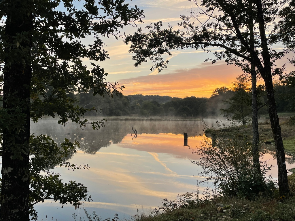 villedieulake's tweet photo. Beautiful morning here in France. Had one of our big boys bosh out in front of me to, twice! Such a great thing to see! Happy Friday everyone. 🎣😊#villedieulake #fishinginfrance #fishoftheweek #carpfishing #lakelifebestlife #mirrorcarp #commoncarp #carpangler #carp #newlake https://t.co/3WKz2UtQc0