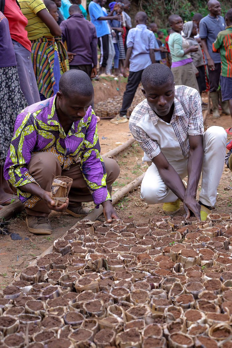 CRBurundi's tweet photo. Planting trees is the ideal approach to support nature. It additionally helps other living species, including people, in many ways. Plants are an essential resource. We rely on them for food, water, medicine, the air we breathe, habitat and our climate.
#1 https://t.co/9kLI0qqjCa