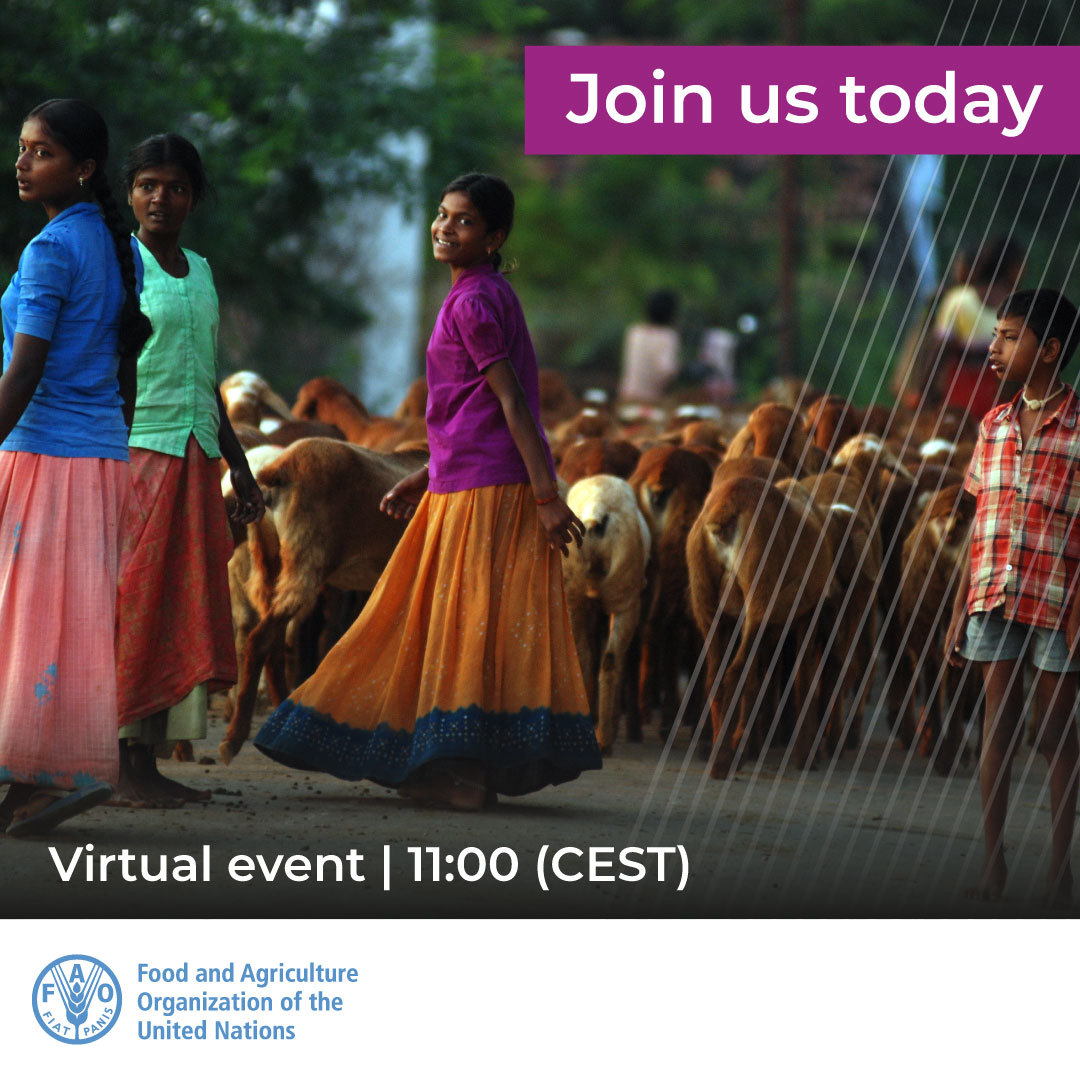 📢 Join us today!

<a href="/FAO/">Food and Agriculture Organization</a> seminar on #PestedesPetitsRuminants eradication based on a successful community-led initiative in India

👉 bit.ly/3EsvGZI

🗓 Today
⏰ 11:00 (CEST)