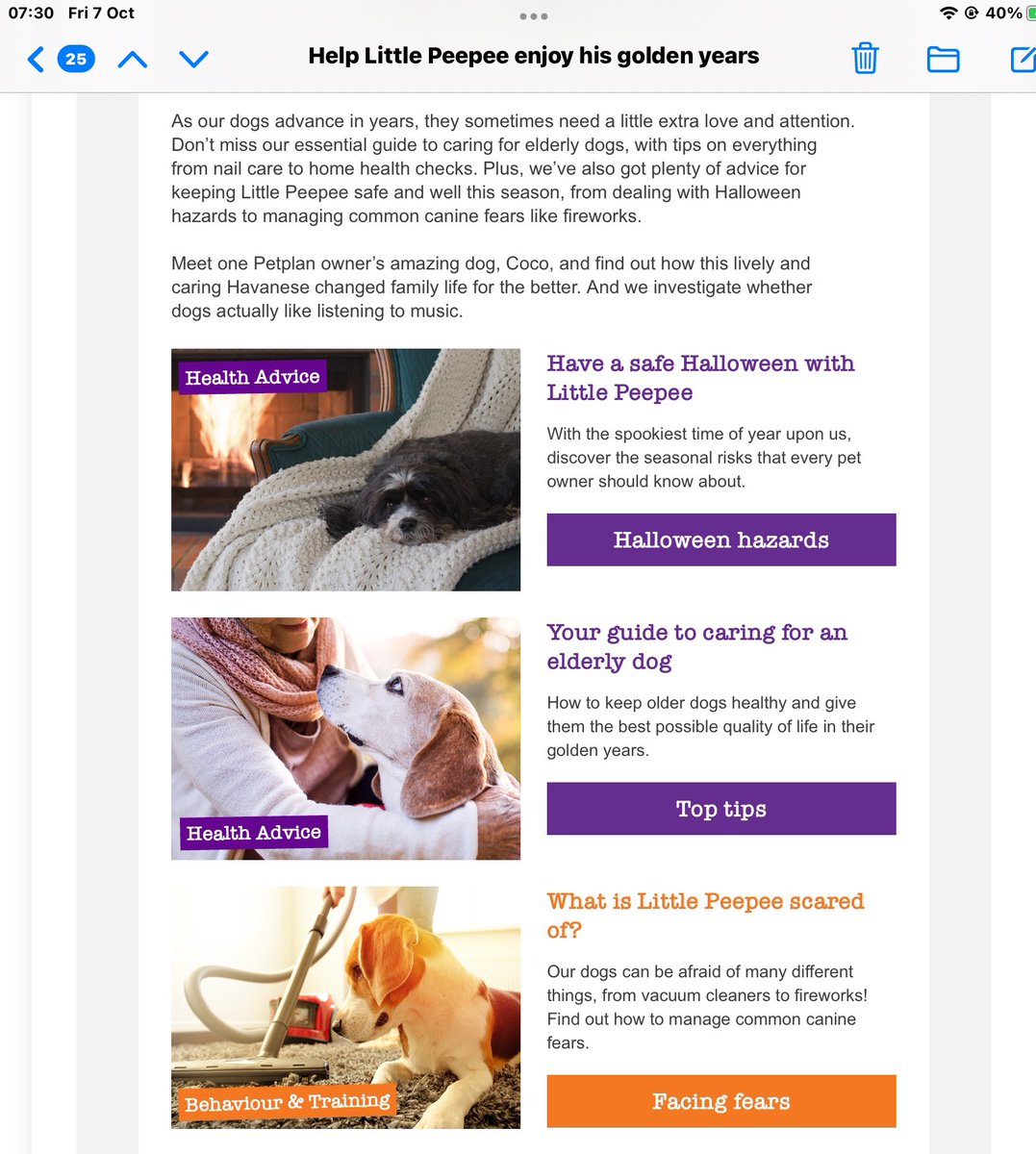 RaiphsWeeDug's tweet photo. Sake! Just got sent this fae @Petplan . I am in my prime!! The Mammy says is laughin! She says it is the equivalent of her being sent SAGA magazine! Pffft ! https://t.co/qxGHSeiRnf
