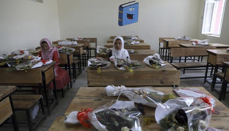This classroom was full of bright students, future leaders, writers, painter, musicians etc. Now two of them have survived. 
This systematic Genocide must stop
#StopHazaraGenocide
<a href="/UNHumanRights/">UN Human Rights</a> <a href="/UNHCRAsia/">UNHCR Asia-Pacific</a> <a href="/UN/">United Nations</a> <a href="/NATO/">NATO</a> <a href="/UNICEF/">UNICEF</a>