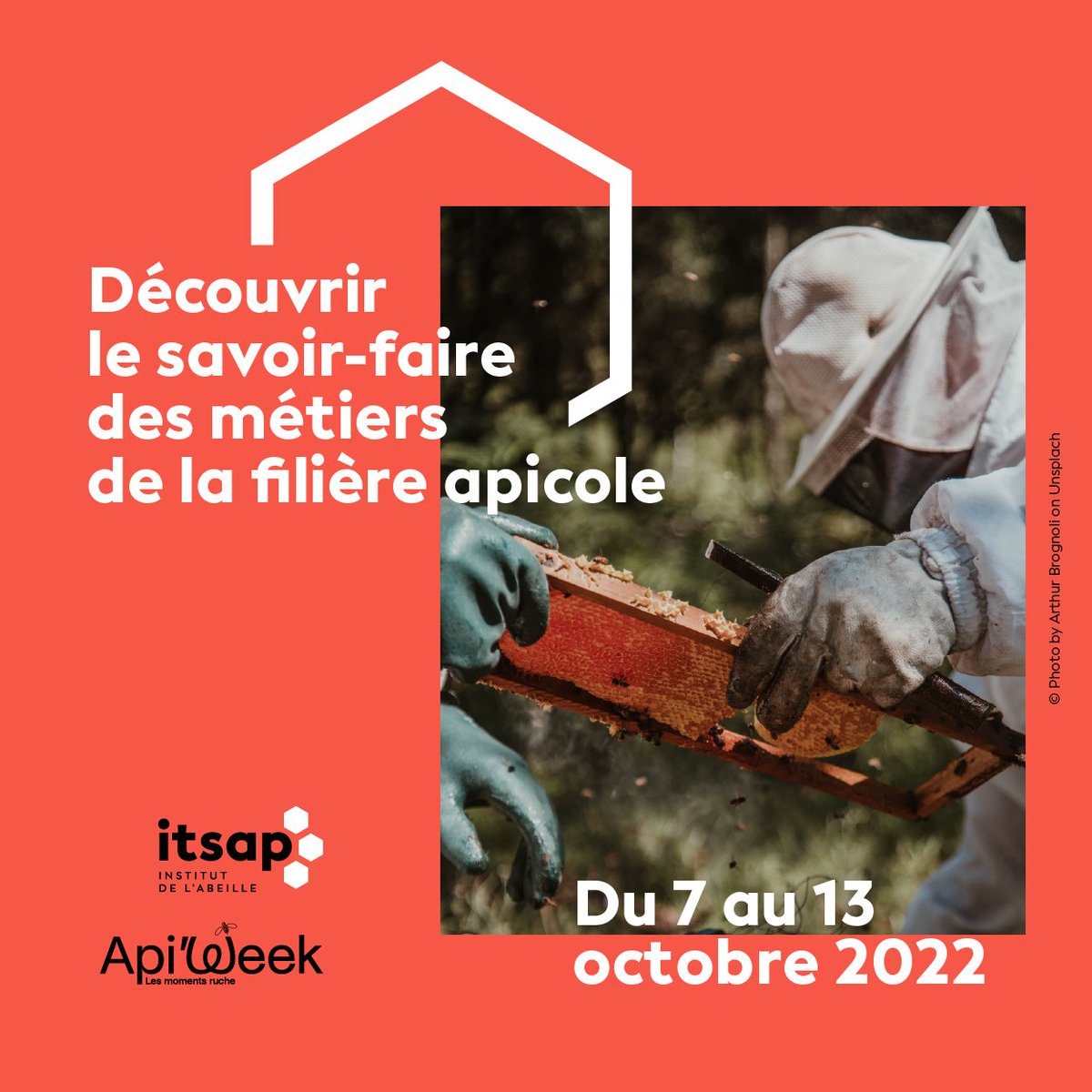 ITSAPinstitut's tweet image. 🗓 La semaine de l’#Apiweek avec #Interapi débute aujourd’hui !

Retrouvez toutes les informations à suivre : 
apiweek.fr