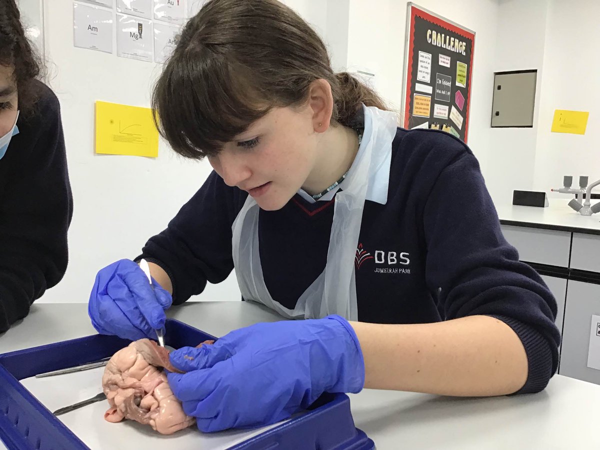 DBSJP_Science's tweet photo. Finishing the week with a heart dissection @DubaiBritishJP, our Year 10 GCSE biologists looking at the structure and functions of the heart. @Taaleem  #BeginsAtDBSJP #proudlytaaleem #biology #GCSEScience #livelearning https://t.co/2k0n8qtQQ3