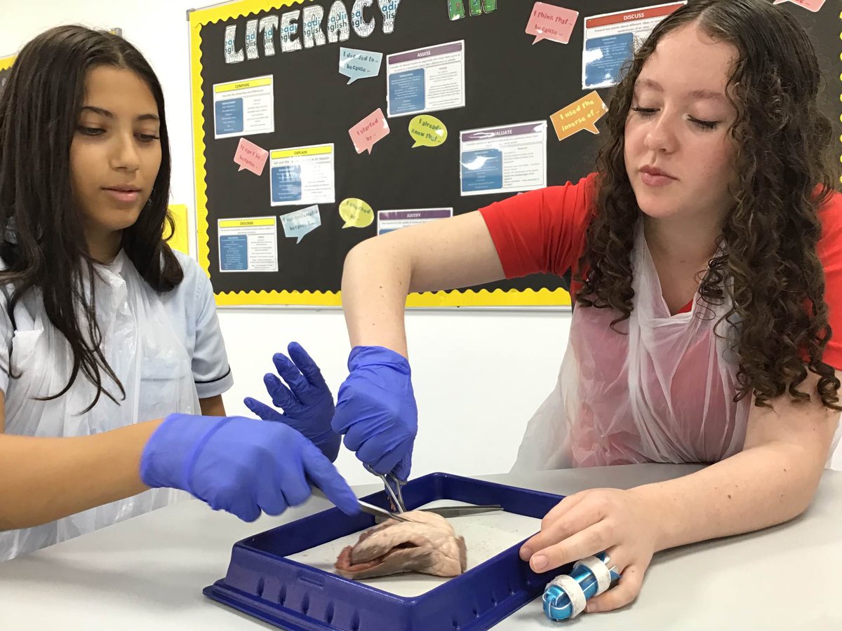 Finishing the week with a heart dissection <a href="/DubaiBritishJP/">DBS Jumeirah Park</a>, our Year 10 GCSE biologists looking at the structure and functions of the heart. <a href="/Taaleem/">Taaleem</a>  #BeginsAtDBSJP #proudlytaaleem #biology #GCSEScience #livelearning