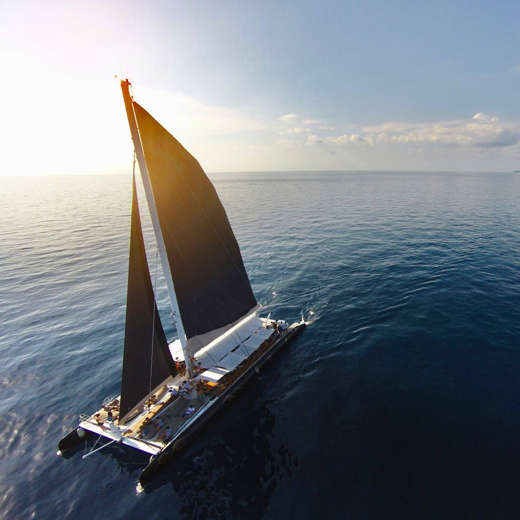 ALLUXE.ONE tweet media