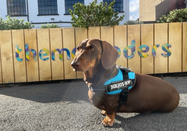 themetraders tweet media