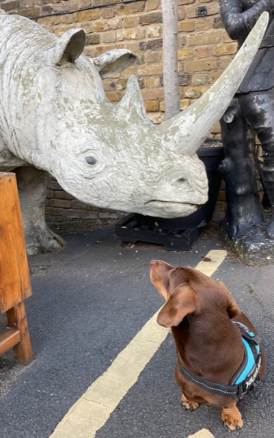 themetraders tweet media