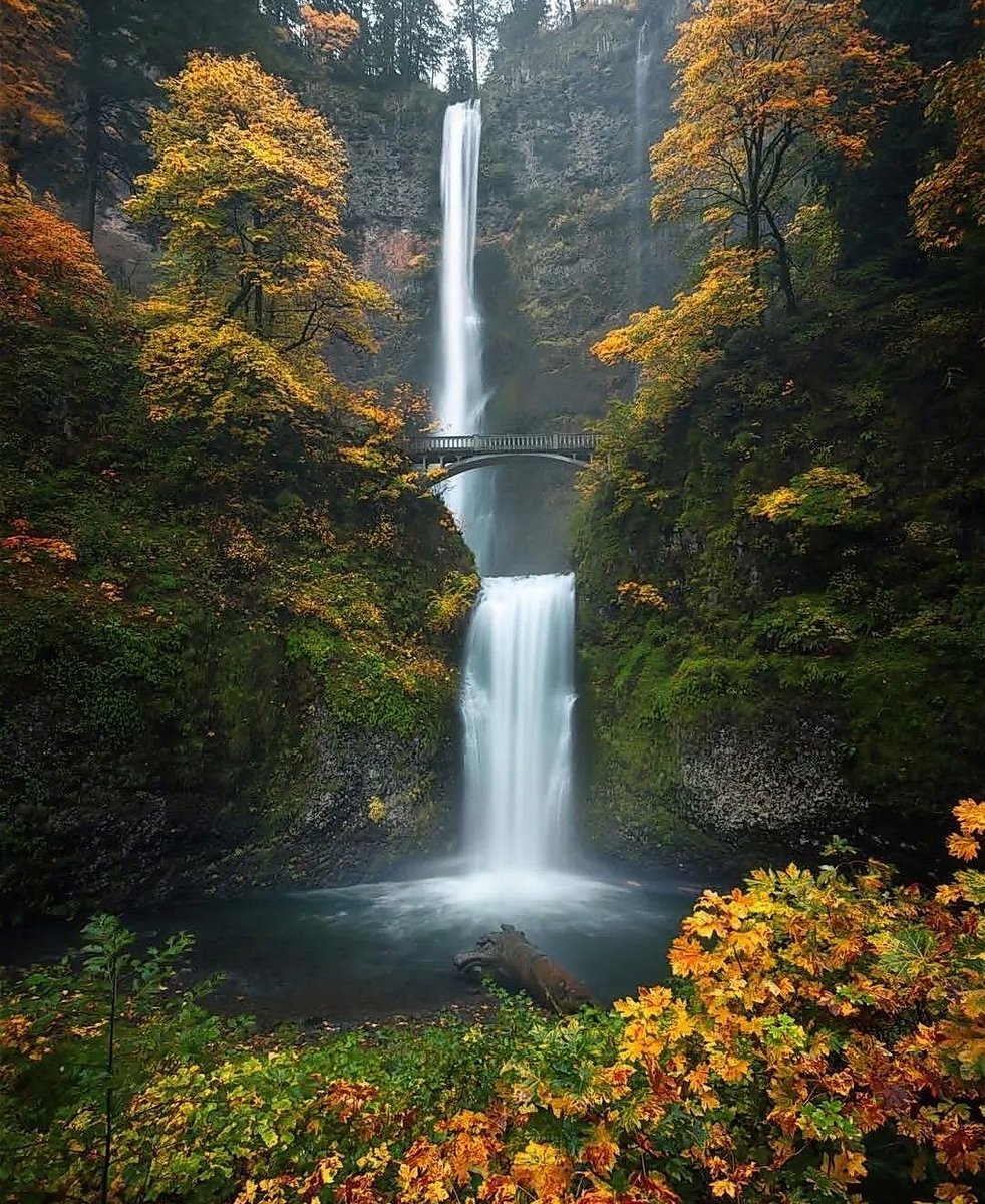MirkoVasi2's tweet photo. Nature 🌞🍁🌲💙💚 https://t.co/fOVvvguewF