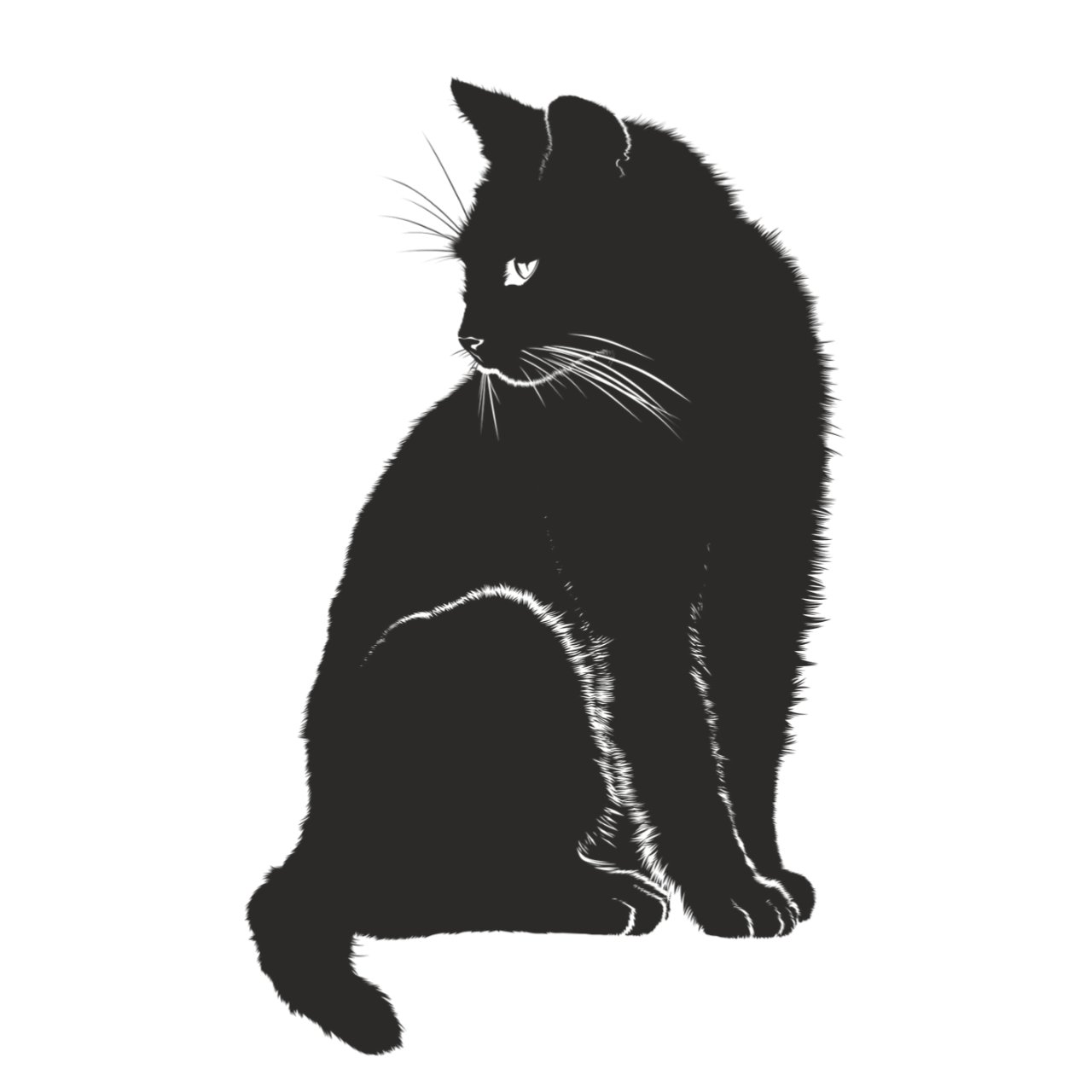 Черная кошка силуэт