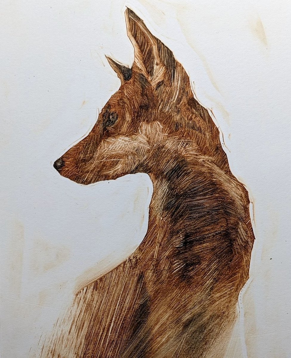 A different one for today's #FoxOfTheDay , this print from @@e_mpainter , brilliant !
