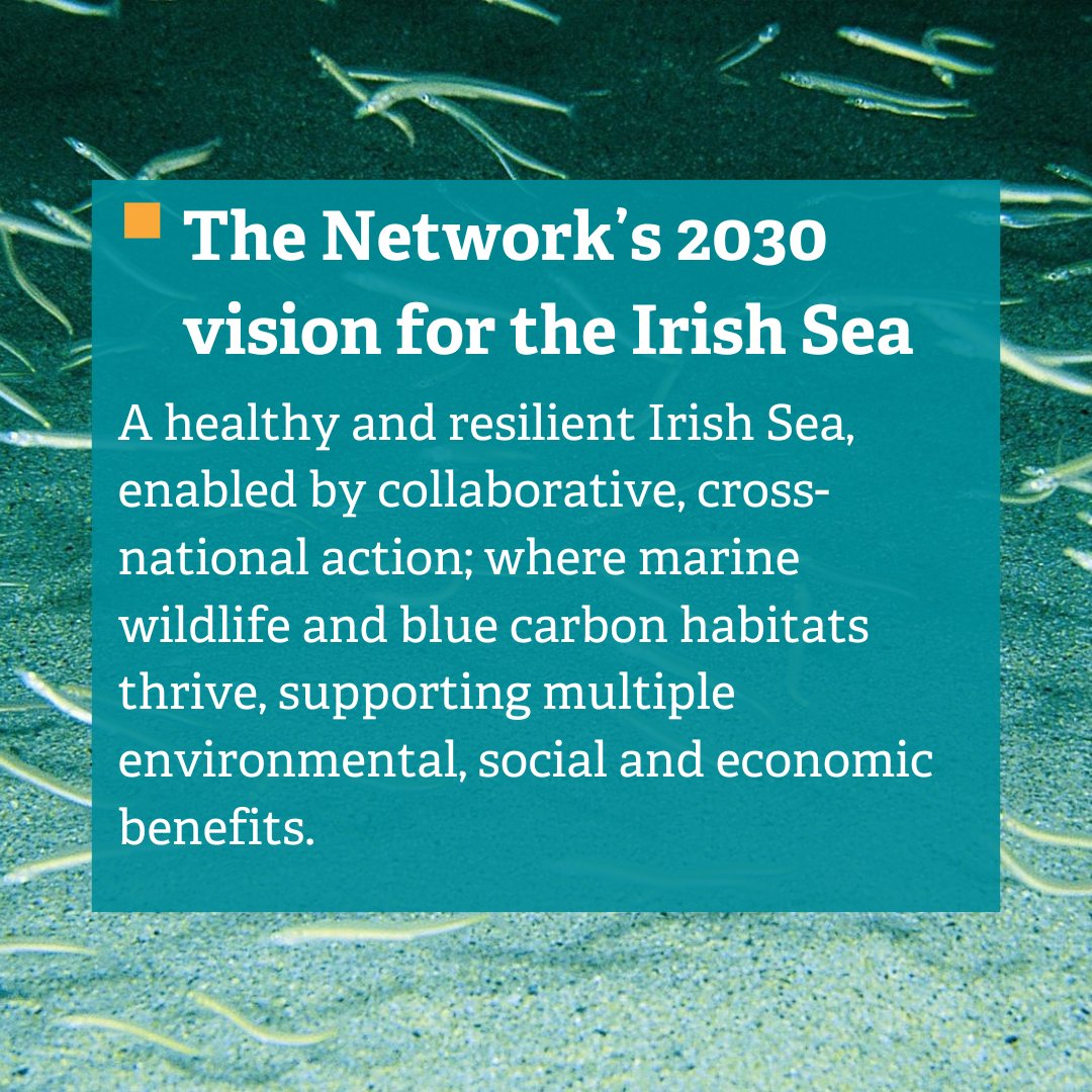 📢The #IrishSeaNetwork ’s ‘State of the Irish Sea’ report and our vision and joint position statements have been launched today! 

👉These documents can be found online here livingseasnw.org.uk/what-we-do/mar…